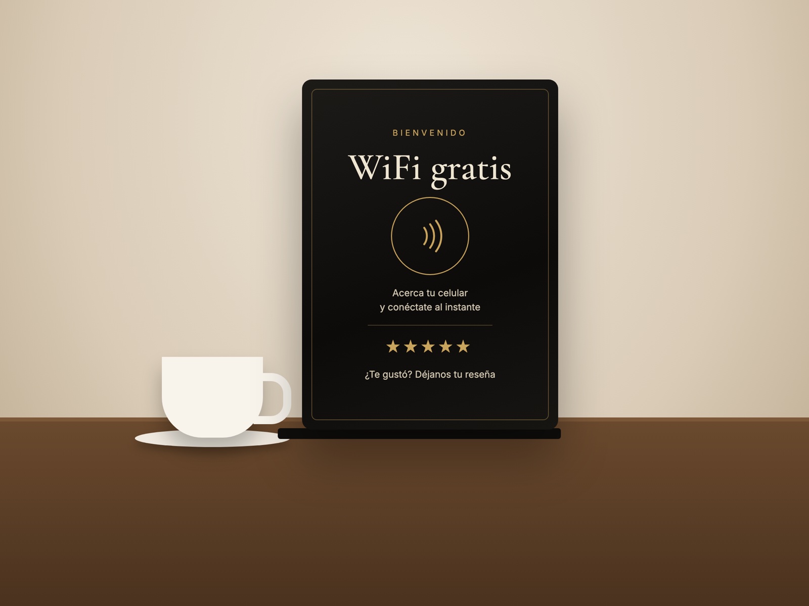 Placa WiFi + reseña